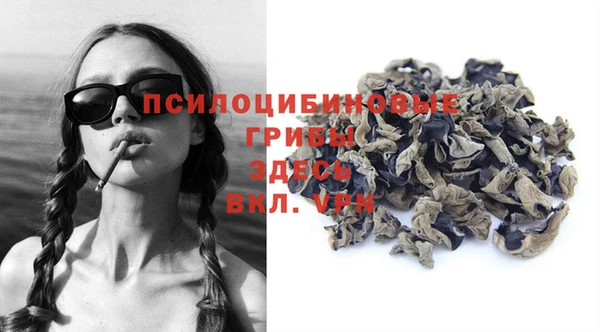 мяу мяу мука Беломорск
