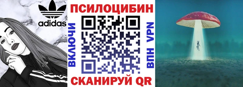 Псилоцибиновые грибы мицелий  Мезень 